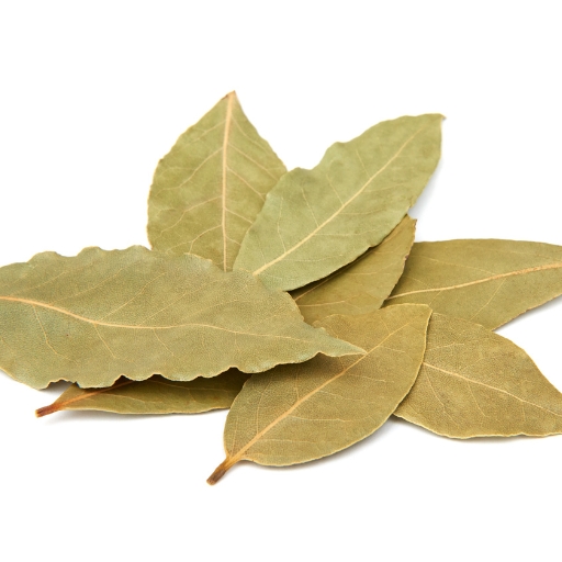 Bay Leaf