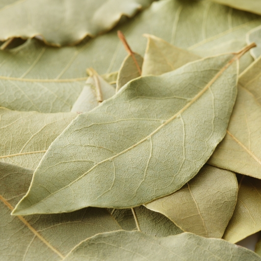 Indian Bay Leaf (Tej Patta)