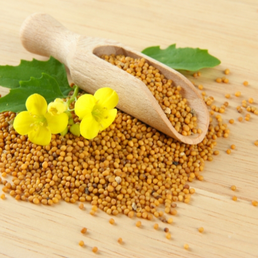 Mustard Seeds (Yellow, Brown, Black)