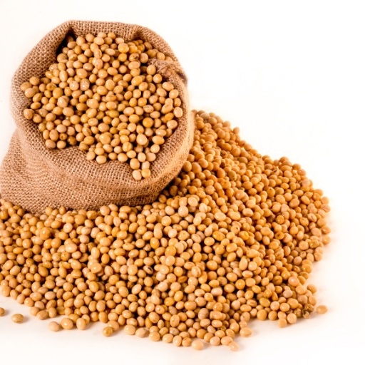 Yellow Mustard Seeds