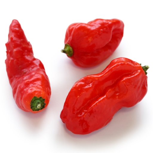 Naga Chili (Ghost Pepper)
