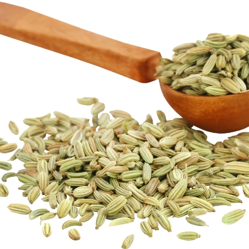 Ground Fennel