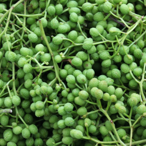 Sansho Pepper