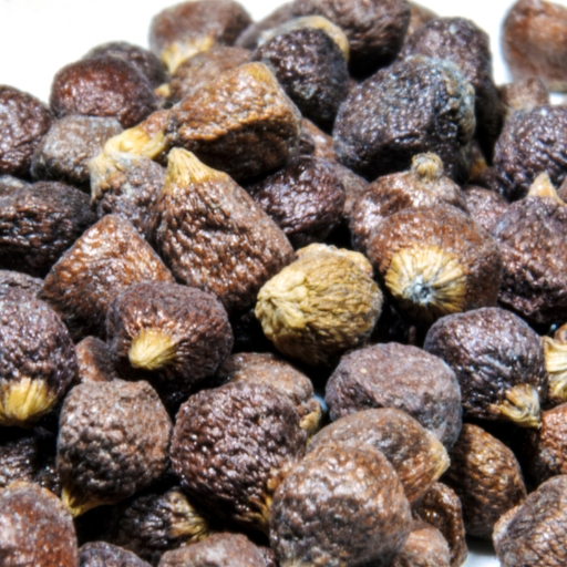 Grain of Paradise (Aframomum melegueta)