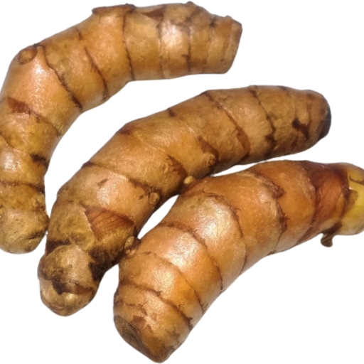 Zedoary (White Turmeric)