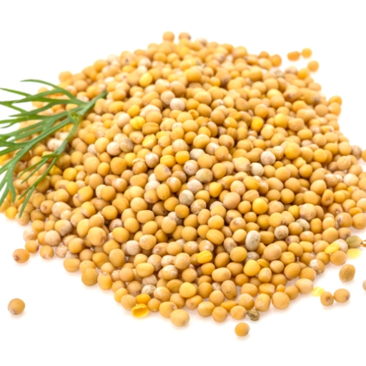 White Mustard Seeds