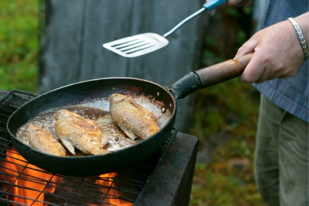 Fish Spatula