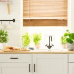 Kitchen Plants