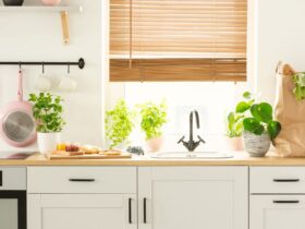 Kitchen Plants