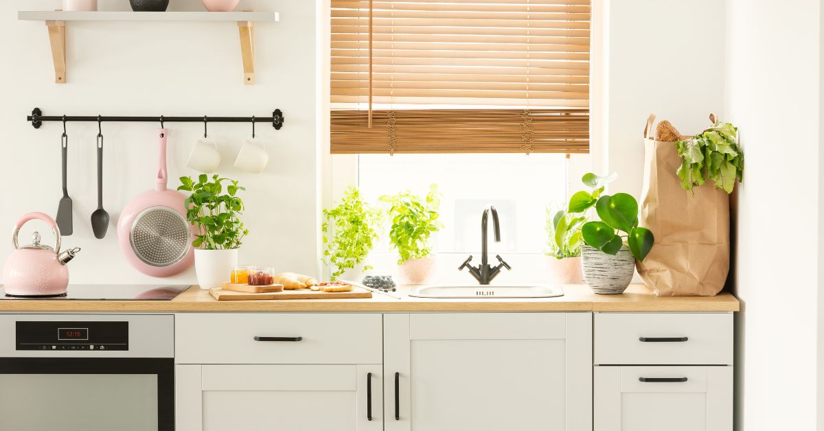 Kitchen Plants