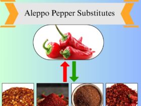 7 Best Aleppo Pepper Substitutes for Flavor and Heat