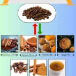 7 Best Allspice Substitutes for Sweet and Savory Dishes