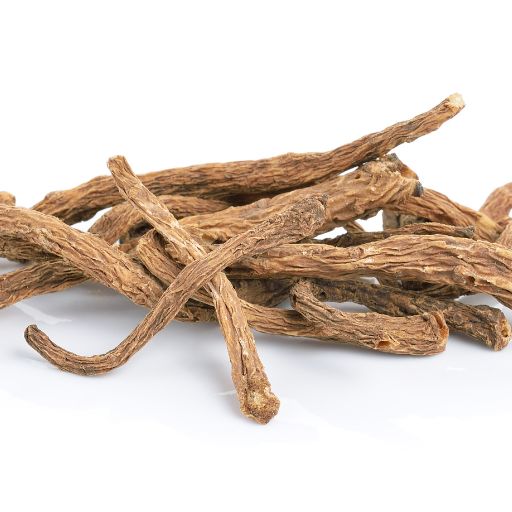 Angelica Root