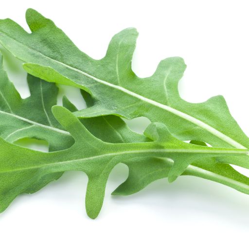 Arugula