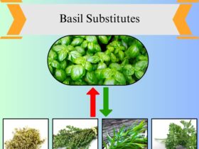 9 Best Basil Substitutes for Cooking and Flavor