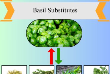 9 Best Basil Substitutes for Cooking and Flavor