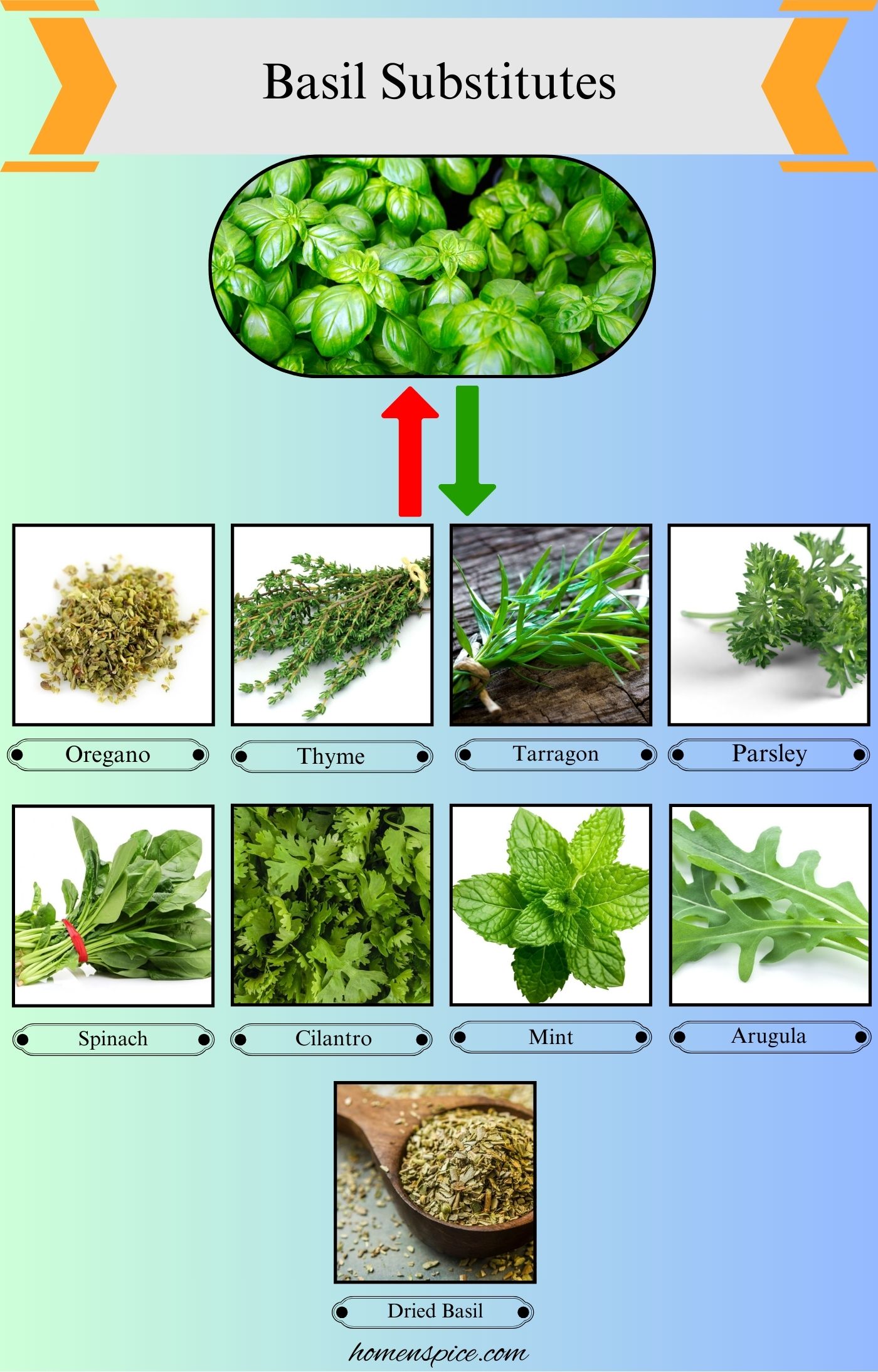 9 Best Basil Substitutes for Cooking and Flavor