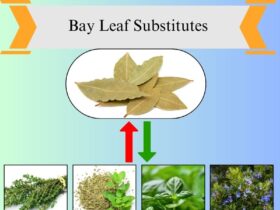 7 Best Bay Leaf Substitutes for Cooking