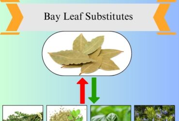7 Best Bay Leaf Substitutes for Cooking