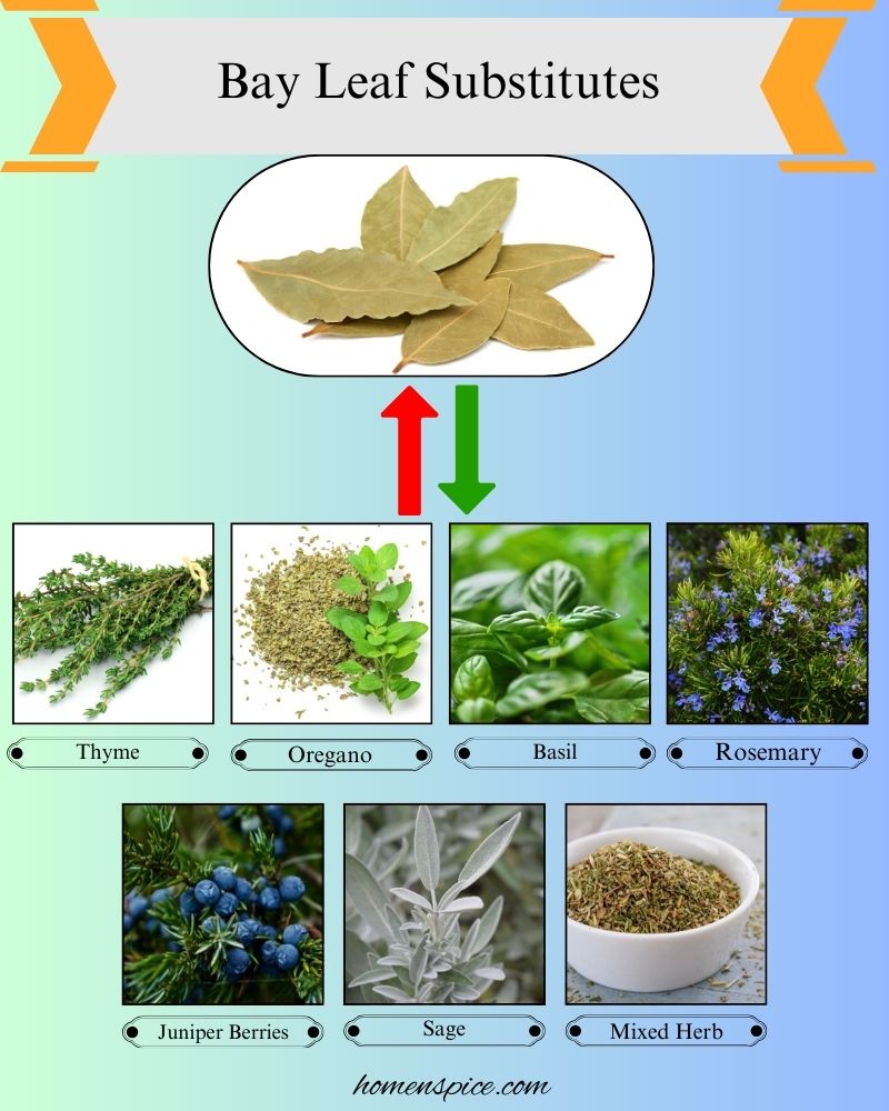 7 Best Bay Leaf Substitutes for Cooking