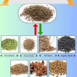7 Best Caraway Seed Substitutes for Flavorful Recipes