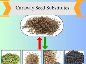7 Best Caraway Seed Substitutes for Flavorful Recipes
