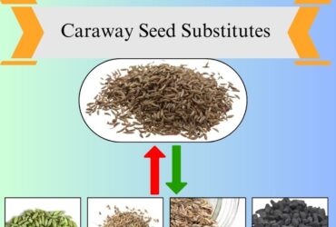 7 Best Caraway Seed Substitutes for Flavorful Recipes