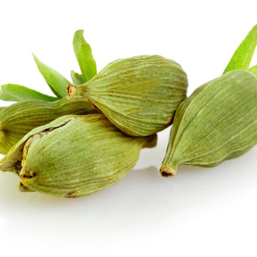 Cardamom