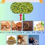 7 Best Cardamom Substitutes for Sweet and Savory Recipes