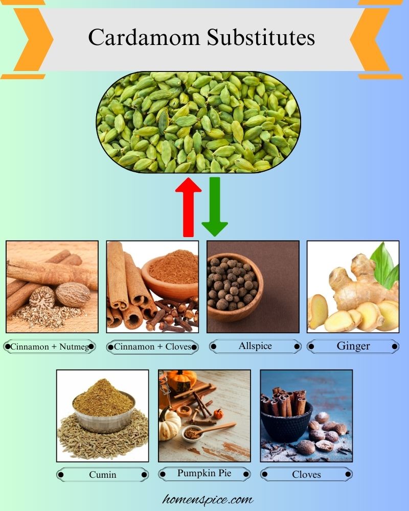 7 Best Cardamom Substitutes for Sweet and Savory Recipes