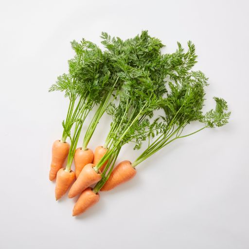 Carrot Tops