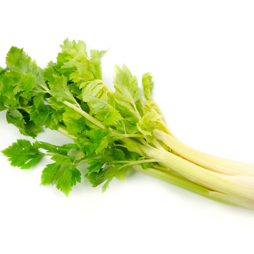 Celery Leaves