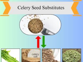 7 Best Celery Seed Substitutes for Cooking and Seasoning