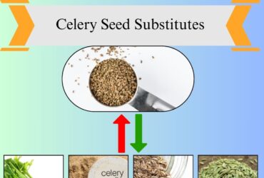 7 Best Celery Seed Substitutes for Cooking and Seasoning
