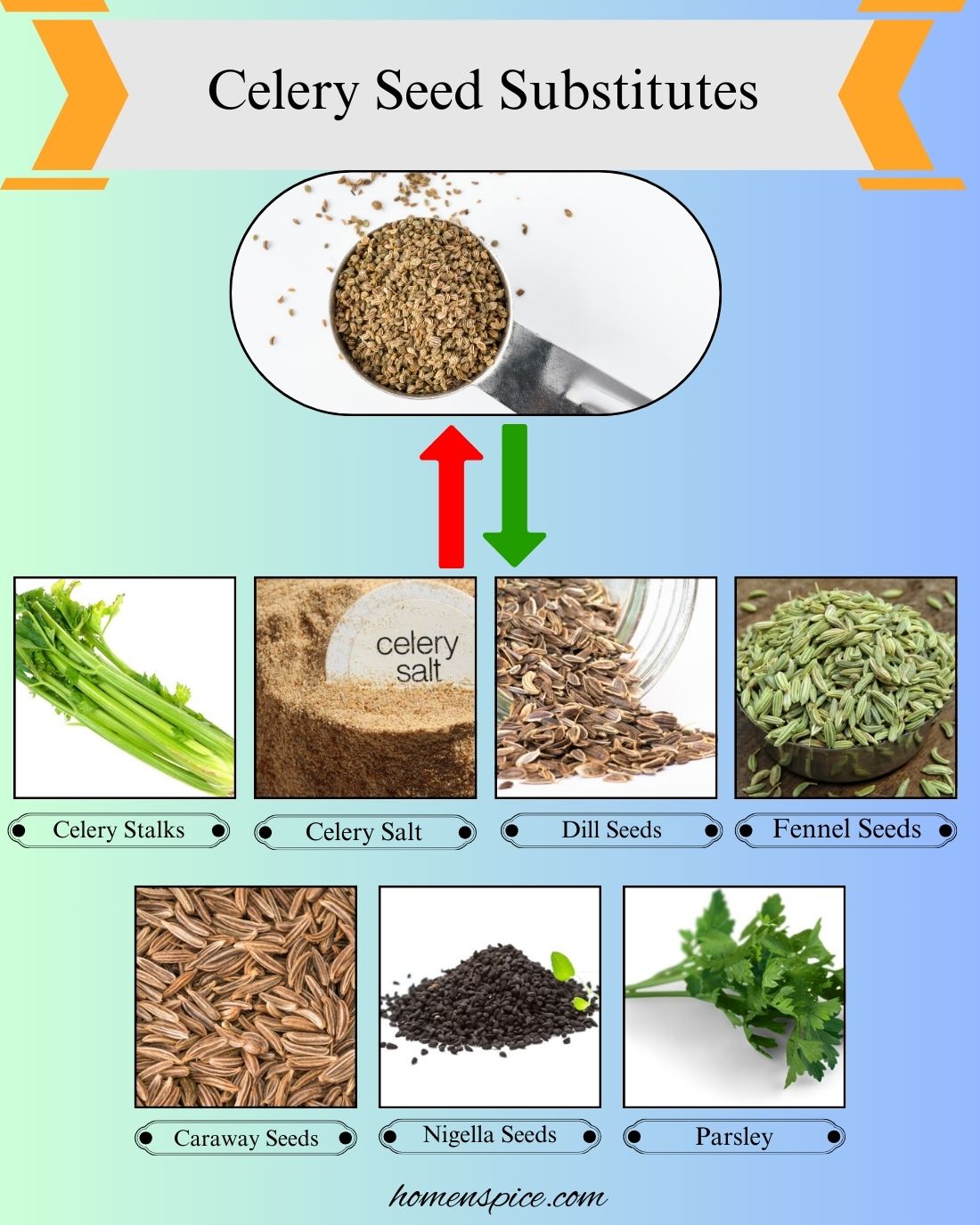 7 Best Celery Seed Substitutes for Cooking and Seasoning
