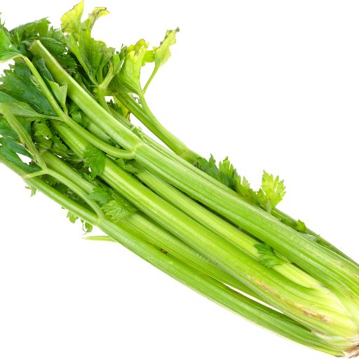 Celery Stalks and Leaves
