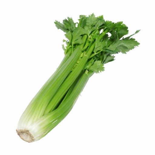 Celery