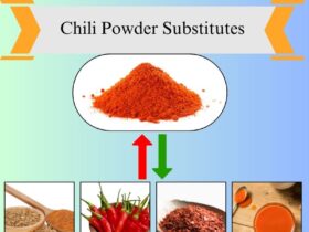 8 Best Chili Powder Substitutes for Cooking