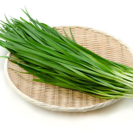 Chinese Chives (Garlic Chives)