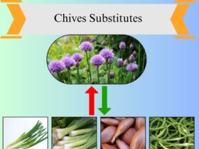 7 Best Substitutes for Chives in Cooking