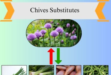 7 Best Substitutes for Chives in Cooking