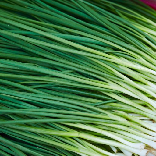 Chives