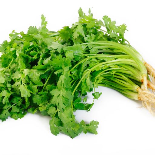 Cilantro (Coriander Leaves)