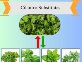 8 Best Cilantro Substitutes for Fresh Flavor in Cooking