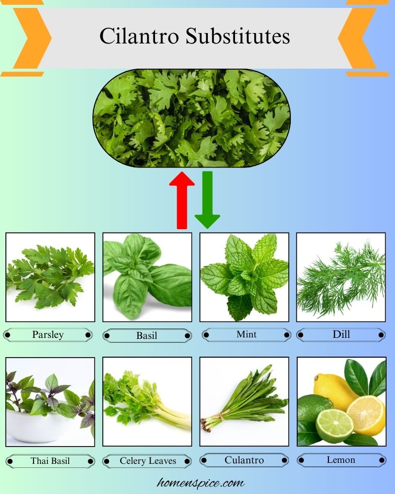8 Best Cilantro Substitutes for Fresh Flavor in Cooking