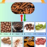 8 Best Cinnamon Substitutes for Baking and Cooking