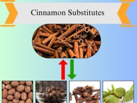 8 Best Cinnamon Substitutes for Baking and Cooking