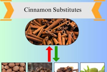 8 Best Cinnamon Substitutes for Baking and Cooking