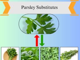8 Best Parsley Substitutes for Freshness and Flavor