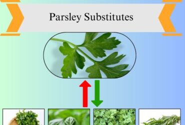 8 Best Parsley Substitutes for Freshness and Flavor